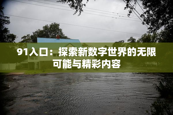 91入口：探索新数字世界的无限可能与精彩内容