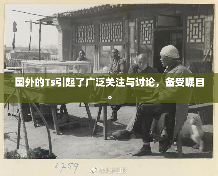 国外的Ts引起了广泛关注与讨论，备受瞩目。