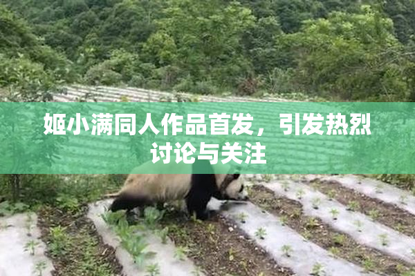 姬小满同人作品首发，引发热烈讨论与关注