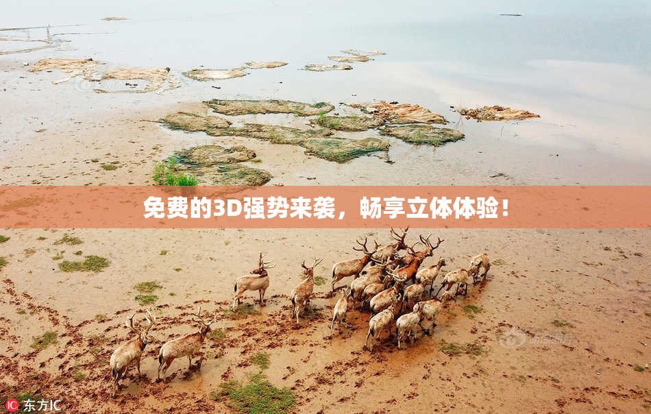 免费的3D强势来袭，畅享立体体验！