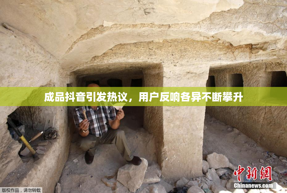 成品抖音引发热议，用户反响各异不断攀升