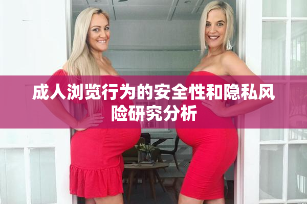 成人浏览行为的安全性和隐私风险研究分析