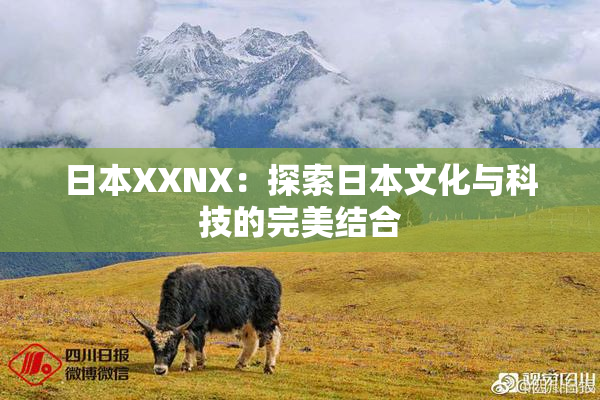 日本XXNX：探索日本文化与科技的完美结合