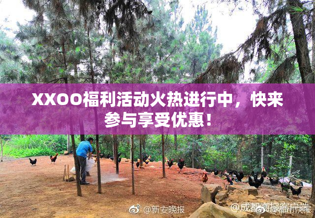 XXOO福利活动火热进行中，快来参与享受优惠！