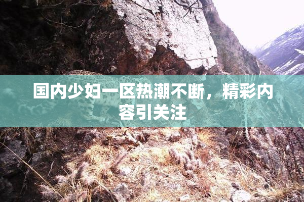 国内少妇一区热潮不断，精彩内容引关注