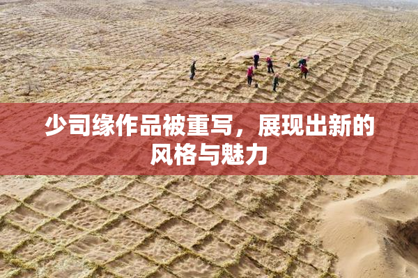 少司缘作品被重写，展现出新的风格与魅力