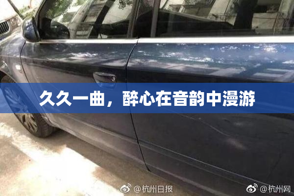 久久一曲，醉心在音韵中漫游
