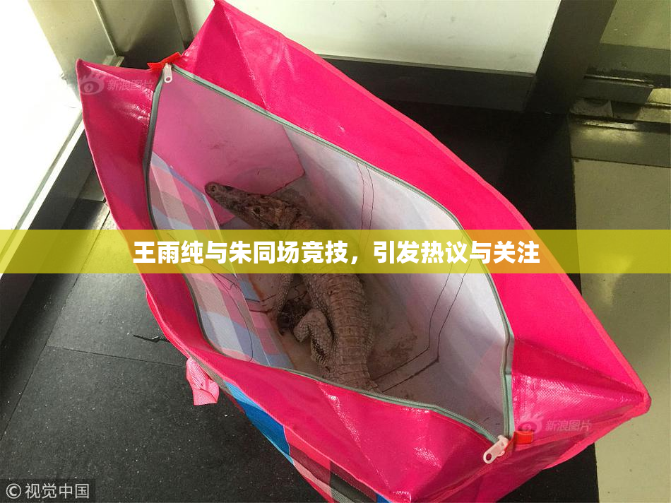 王雨纯与朱同场竞技，引发热议与关注