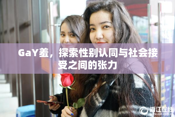 GaY羞，探索性别认同与社会接受之间的张力