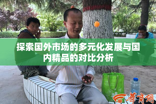 探索国外市场的多元化发展与国内精品的对比分析