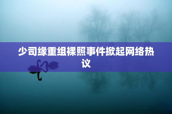 少司缘重组裸照事件掀起网络热议