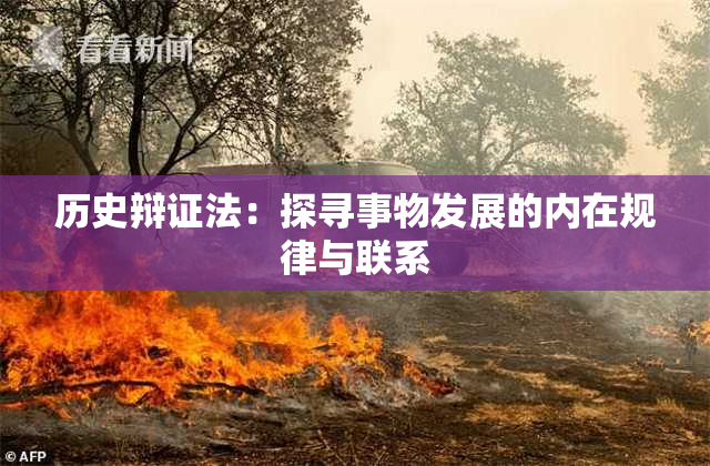 历史辩证法：探寻事物发展的内在规律与联系