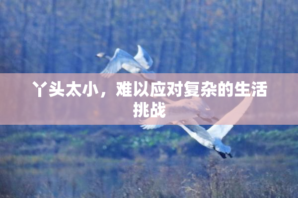 丫头太小，难以应对复杂的生活挑战