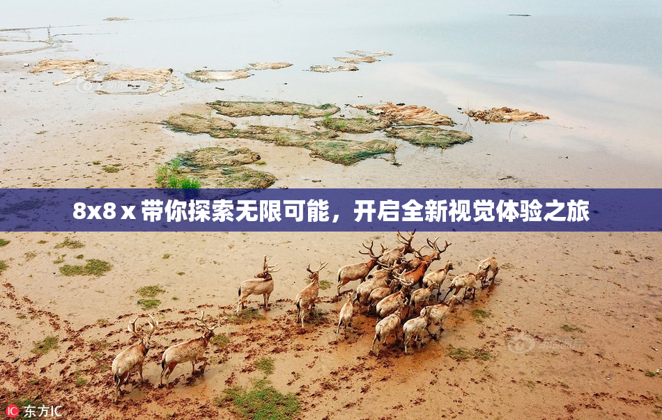 8x8ⅹ带你探索无限可能，开启全新视觉体验之旅