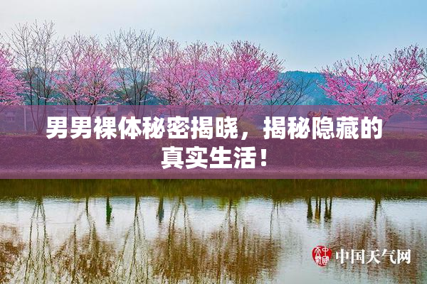 男男裸体秘密揭晓，揭秘隐藏的真实生活！