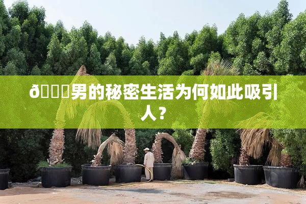 😚男的秘密生活为何如此吸引人？