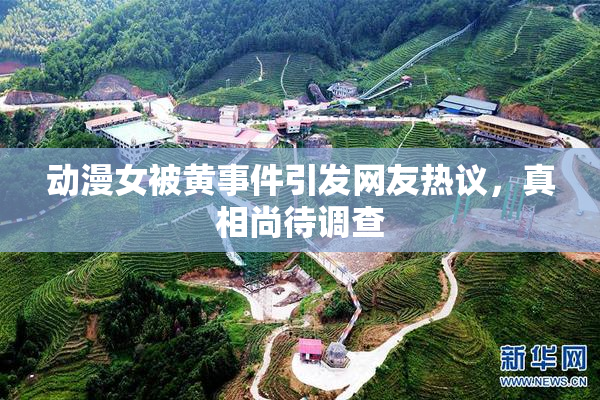 动漫女被黄事件引发网友热议，真相尚待调查