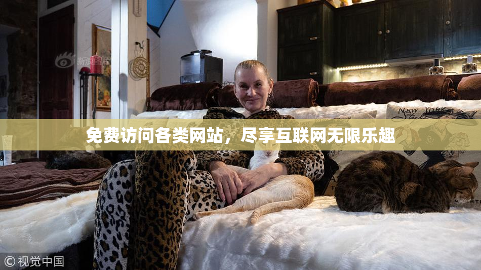 免费访问各类网站，尽享互联网无限乐趣