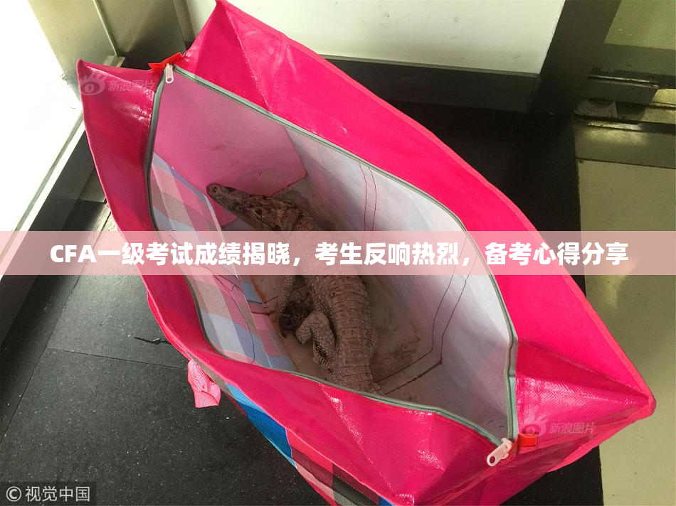 CFA一级考试成绩揭晓，考生反响热烈，备考心得分享