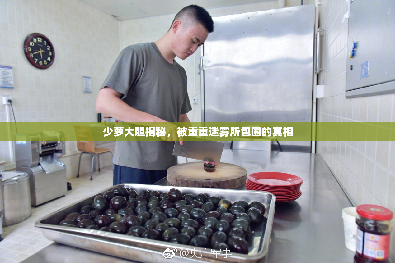 少萝大胆揭秘，被重重迷雾所包围的真相