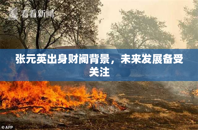 张元英出身财阀背景，未来发展备受关注