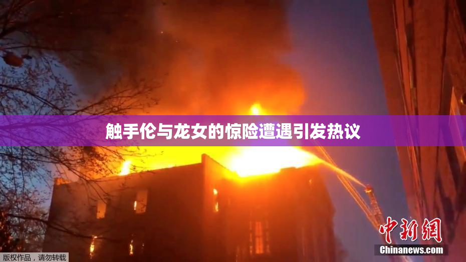 触手伦与龙女的惊险遭遇引发热议