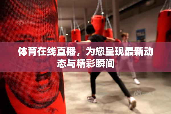 体育在线直播，为您呈现最新动态与精彩瞬间