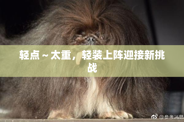 轻点～太重，轻装上阵迎接新挑战