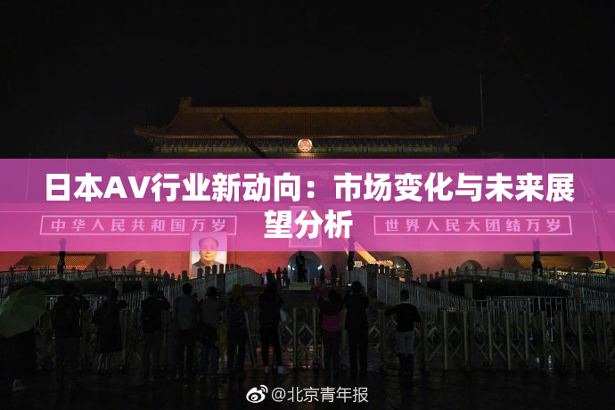 日本AV行业新动向：市场变化与未来展望分析