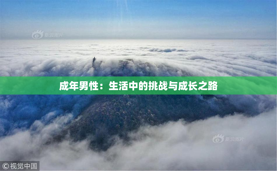 成年男性：生活中的挑战与成长之路