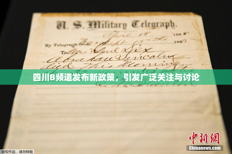 四川B频道发布新政策，引发广泛关注与讨论
