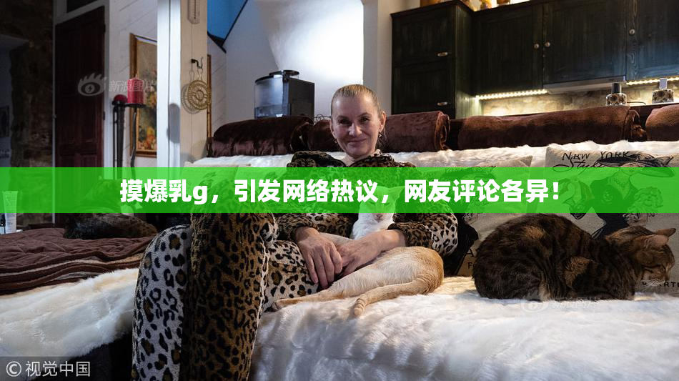 摸爆乳g，引发网络热议，网友评论各异！
