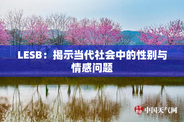 LESB：揭示当代社会中的性别与情感问题