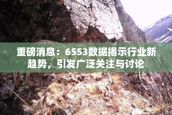 重磅消息：6553数据揭示行业新趋势，引发广泛关注与讨论