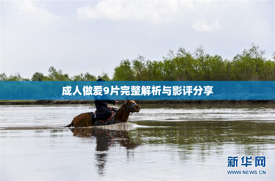 成人做爰9片完整解析与影评分享