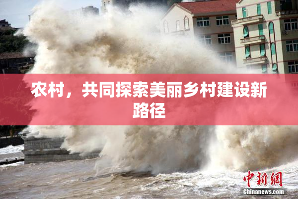 农村，共同探索美丽乡村建设新路径