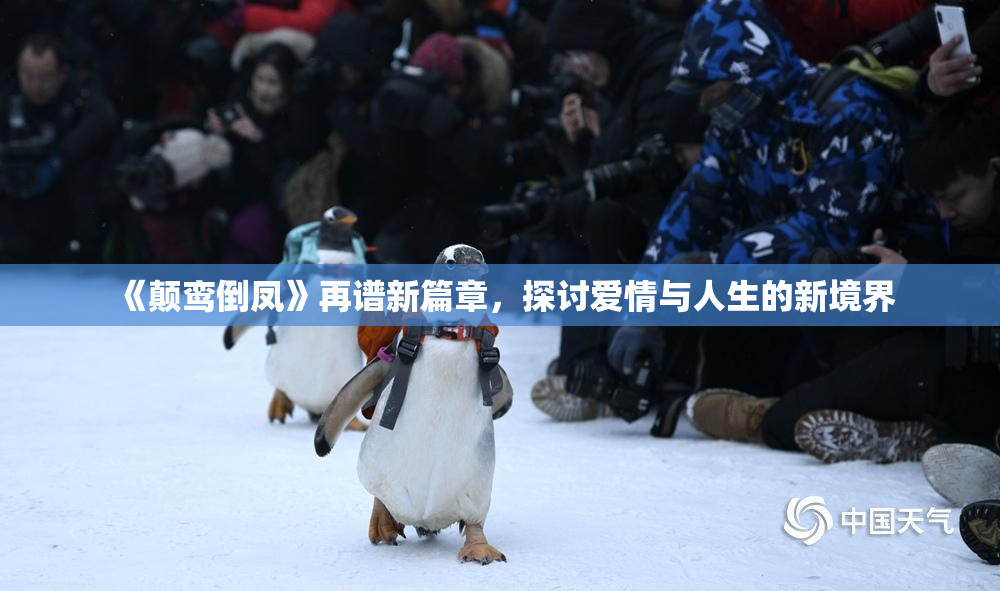 《颠鸾倒凤》再谱新篇章，探讨爱情与人生的新境界