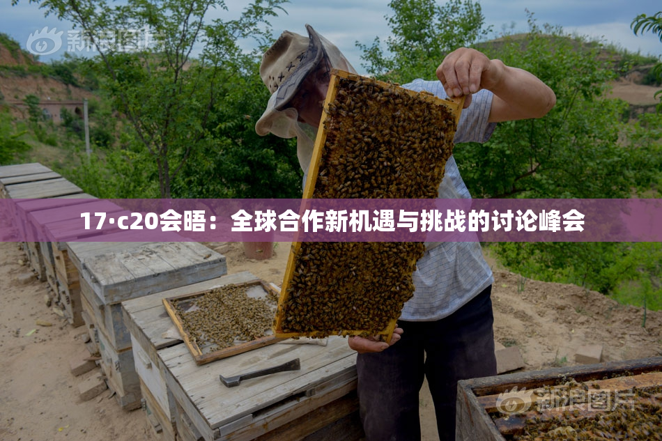 17·c20会晤：全球合作新机遇与挑战的讨论峰会