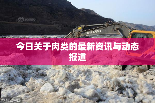 今日关于肉类的最新资讯与动态报道