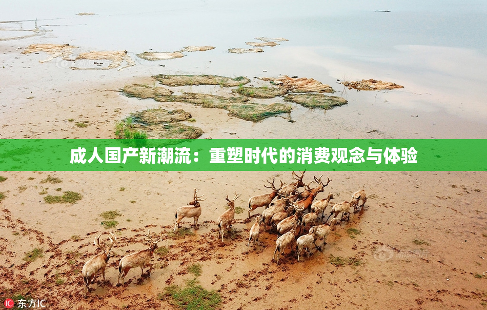 成人国产新潮流：重塑时代的消费观念与体验