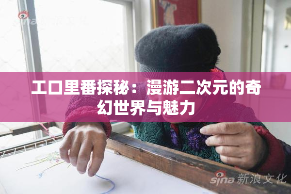 工口里番探秘：漫游二次元的奇幻世界与魅力