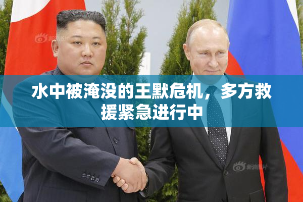 水中被淹没的王默危机，多方救援紧急进行中