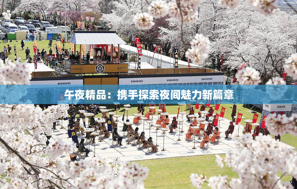 午夜精品：携手探索夜间魅力新篇章