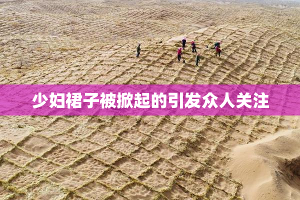 少妇裙子被掀起的引发众人关注
