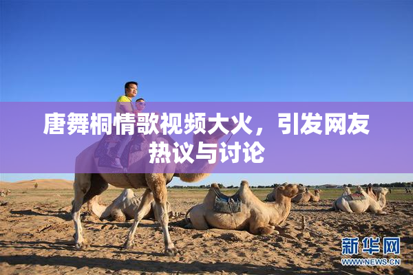 唐舞桐情歌视频大火，引发网友热议与讨论