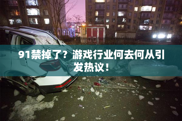 91禁掉了？游戏行业何去何从引发热议！