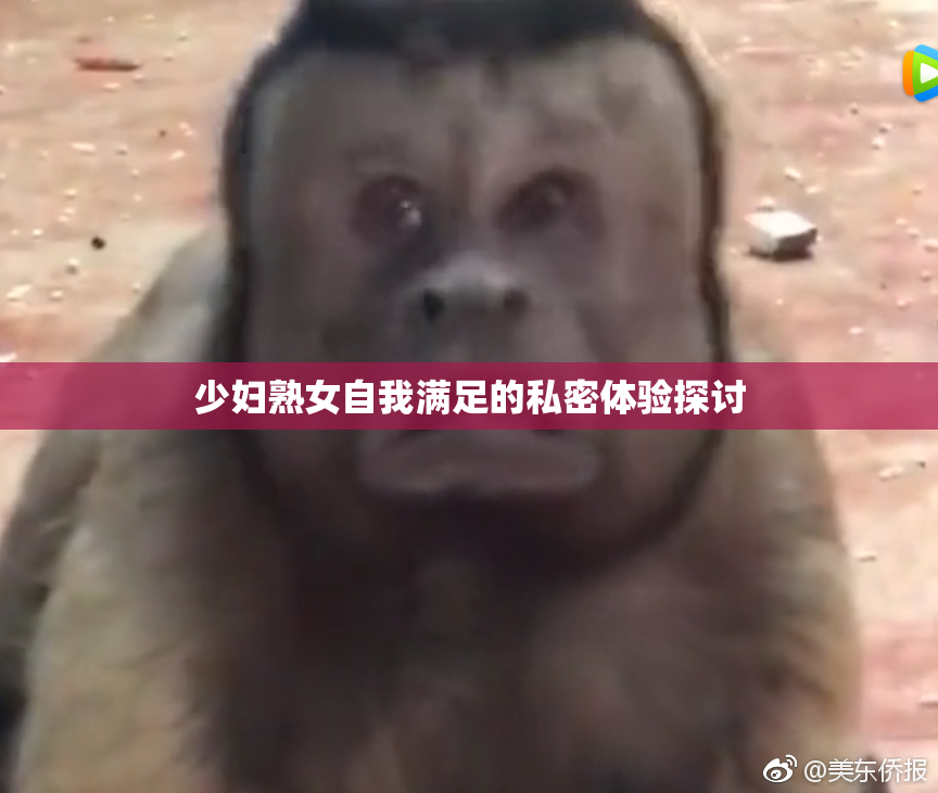 少妇熟女自我满足的私密体验探讨