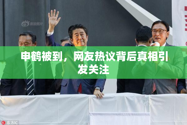 申鹤被到，网友热议背后真相引发关注