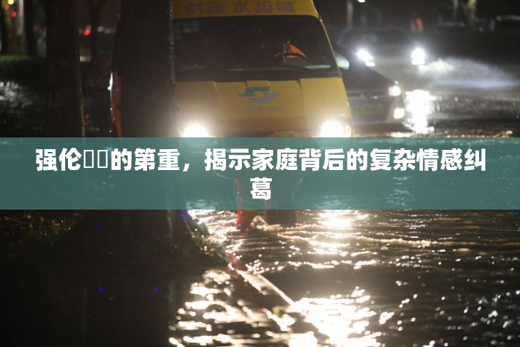 强伦妺妺的第重，揭示家庭背后的复杂情感纠葛