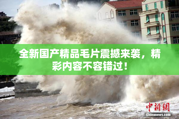 全新国产精品毛片震撼来袭，精彩内容不容错过！